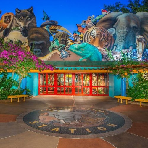 conservation-station-gallery00